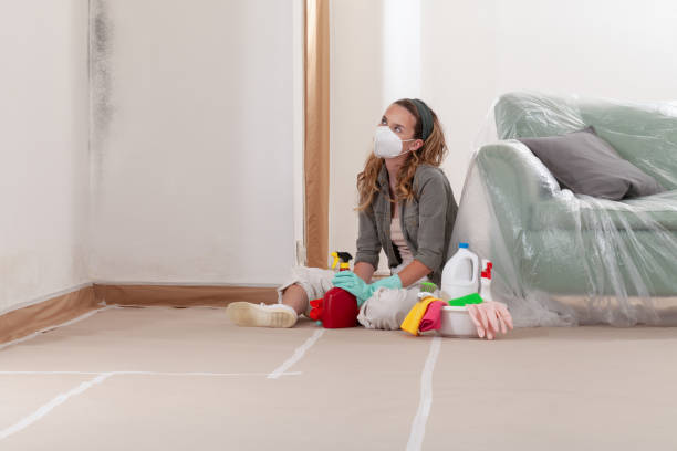 Reliable Black Mold Removal contractor in Aydlett, NC by WQB Mold Removal